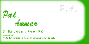 pal ammer business card